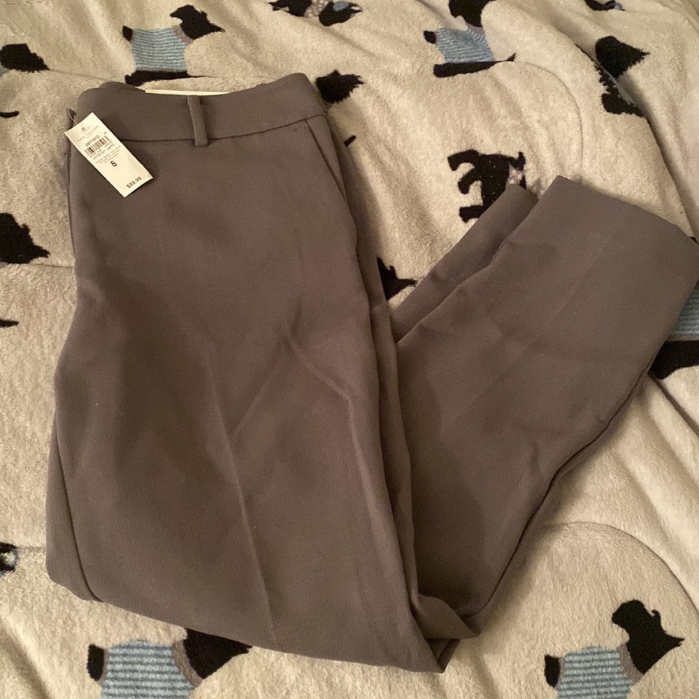 NWT Ann Taylor Office Pants